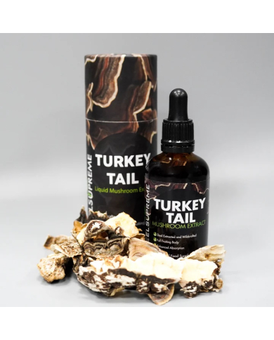 Turkey Tail Mushroom Liquid