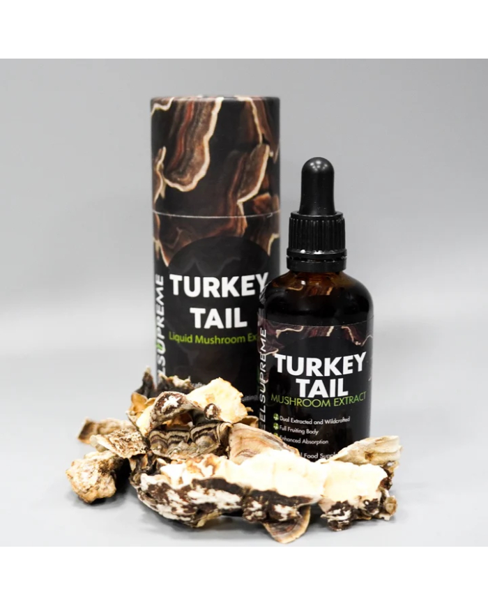 Turkey Tail Mushroom Liquid
