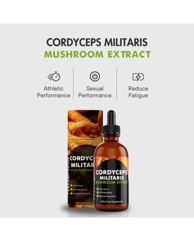 Cordyceps Militaris Mushroom Liquid