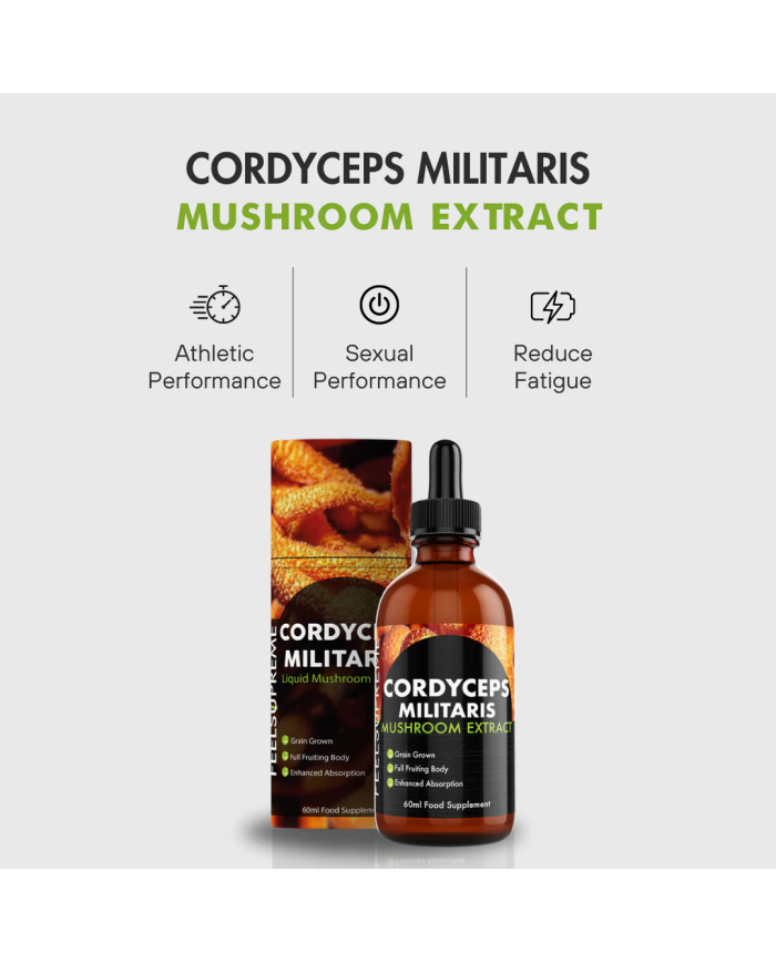 Cordyceps Militaris Mushroom Liquid