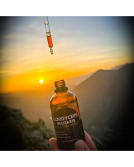 Cordyceps Militaris Mushroom Liquid