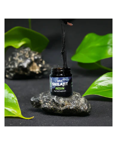 Altai Shilajit Resin | 50g