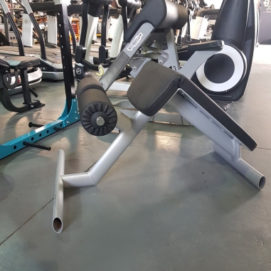 Techno Gym Sit up Bench