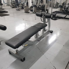 Technogym Strength Adjustable Ab Bench