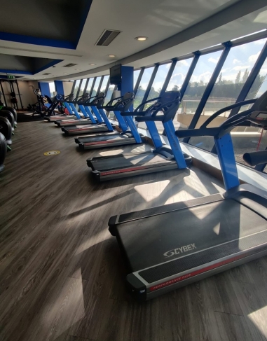 Cybex - 790 Treadmill