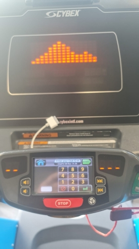 Cybex - 790 Treadmill